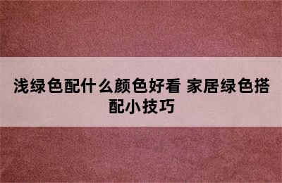 浅绿色配什么颜色好看 家居绿色搭配小技巧